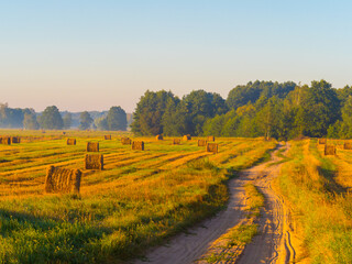 Obraz premium Podlasko