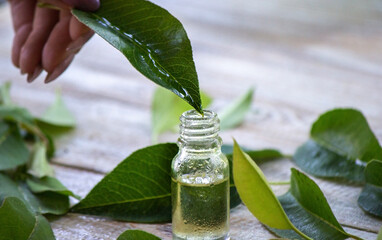 herbal essential oil in a small bottle