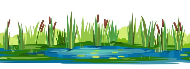 Reed and cattail thickets. Swampy wild landscape with water. Leaves of water lilies. Horizontally seamless composition. Overgrown bank of a pond or river. Isolated illustration vector