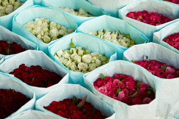 Various colored roses packed in a traditional market