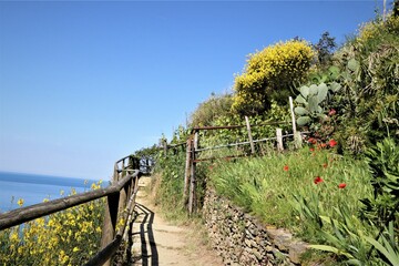 Manarola