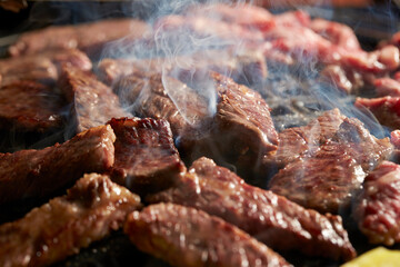 grilled meat on the grill