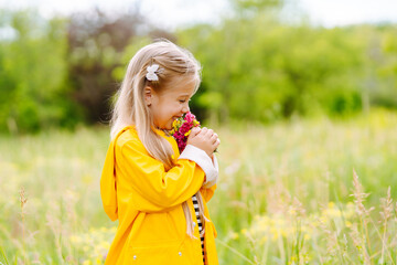 Cute little girl picking  wildflowers in the meadow. A child explore nature. 