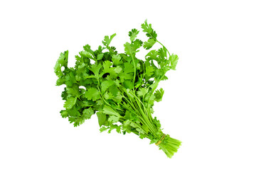 bunch of parsley isolate on white background