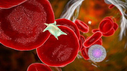 Fototapeta premium Activated platelets in blood flow and red blood cells