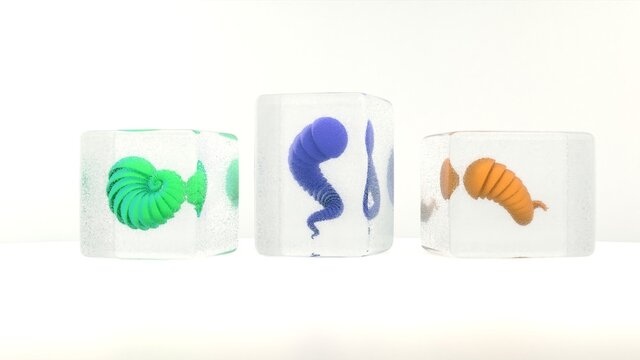 sci-fi looking medusa in a glass cube