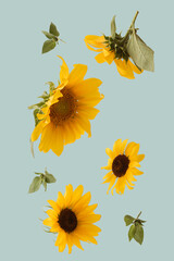 Fototapety na wymiar - Fototapeta24.pl