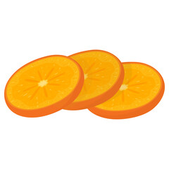 Fresh cut slices persimmon fruit isolated on white background. Summer fruits for healthy lifestyle. Organic fruit. Cartoon style. Vector illustration for any design.