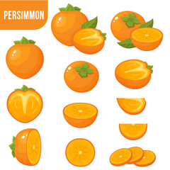 Set of fresh whole, half, cut slice persimmon fruits isolated on white background. Summer fruits for healthy lifestyle. Organic fruit. Cartoon style. Vector illustration for any design.