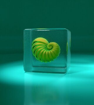 sci-fi looking medusa in a glass cube