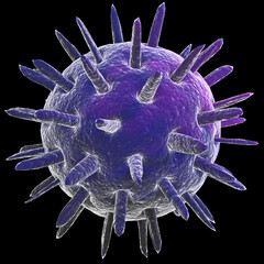 calicivirus
