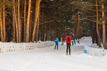 Fototapeta na wymiar downhill skiers on the cross-country ski trail in winter in the forest