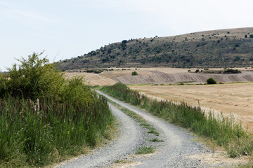 Paisaje natural de Santamera, Guadalajara, España.
