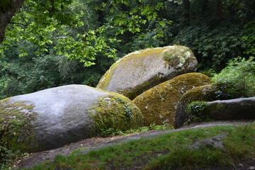 Forêt, Huelgoat, Bretagne