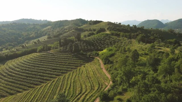 Aerial view of beautiful terraces countryside during sunlight. Montevecchia, Lecco, Italy