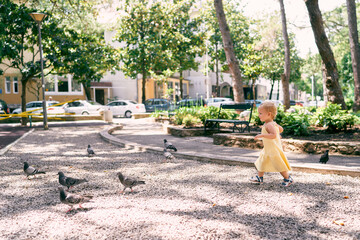 Little girl in a dress walks along the gravel path in the park to the pigeons