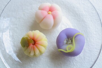 涼しげ夏の和菓子3種　朝顔　夏菊　ふようの花