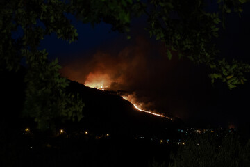 Sicilia in fumo
Incendio sotto a Erice, in provincia di Trapani. 
La zona boschiva, con specie autoctone vegetali e animali, &egrave; andata in fiamme a fine luglio.