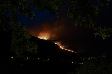 Sicilia in fumo
Incendio sotto a Erice, in provincia di Trapani. 
La zona boschiva, con specie autoctone vegetali e animali, è andata in fiamme a fine luglio.