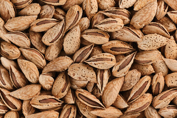 Background of closed almonds placer bright snacks