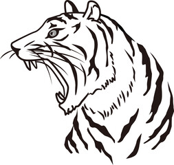 Monochrome line drawing illustration of a tiger