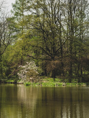 Spring scene of the park in Pszczyna	