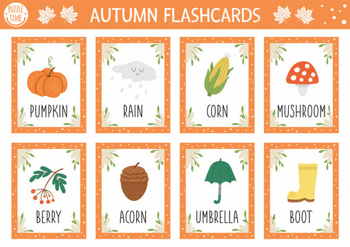 Vector Autumn flash cards set. English language game with cute pumpkin, mushroom, umbrella, acorn for kids. Fall season flashcards. Simple educational printable worksheet..