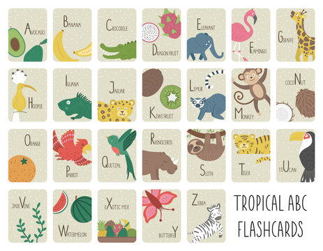 Tropical alphabet cards for children. Cute cartoon ABC set with exotic animals, birds, fruits, insects. Funny jungle flashcards for teaching reading or phonics for kids. English language letters pack.