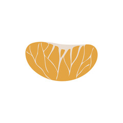 Abstract mandarin fruit, boho mandarin element isolated vector illustration, summer tropical fruit art