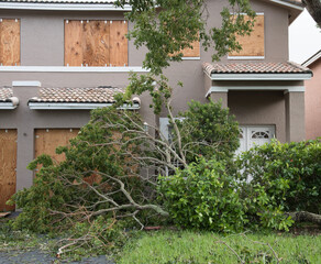 House with wooden shuttered windows in aftermath of hurricane with fallen tree in the front yard.