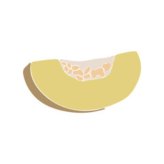 Abstract cantaloupe fruit, boho cantaloupe element isolated vector illustration, summer tropical fruit art