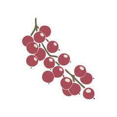 Abstract berries fruit, boho  berries element isolated vector illustration, summer tropical fruit art