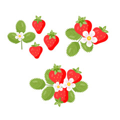 Set of red strawberries, green leaves, white  flowers elements and compositions in  flat style. Vector isolated color illustration on white background.