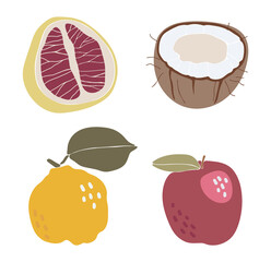 Abstract tropical fruit set, boho tropical elements isolated vector illustration, summer coconut, grapefruit, apple and quince fruits art
