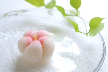Fototapeta premium 夏のひんやり和菓子 東洋のハイビスカス ふようの花