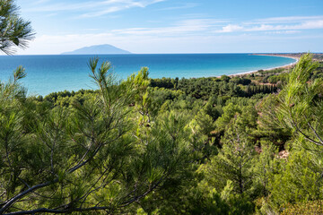 Obraz premium pine wood forest with sea and island view on clear blue sky