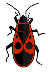 insect - red soldier bug in cartoon style