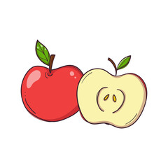 Hand drawn red apple whole and cut fruit on white background