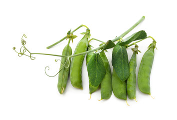 Green pea pods with leaves.