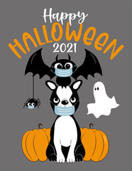 Happy Halloween 2021- cute boston terrier, bat, spider in facemask, and ghost and pumpkins. Funny greeting card for Halloween in covid-19 pandemic self isolated period.  