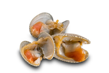 Uncooked opened clams on white background.