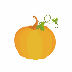 Orange pumpkin isolated on white background. Cartoon flat style. Vector illustration