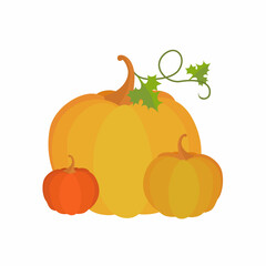 Set of orange pumpkins isolated on white background. Cartoon flat style. Vector illustration