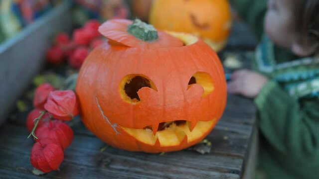 Halloween pumpkin on a wooden bench in the garden. Preparation for celebration. Happy halloween concept