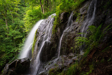 Obraz premium Cascade de l Andelau Cascade du Hohwald Wasserfall