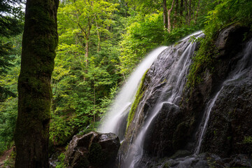 Fototapeta premium Cascade de l Andelau Cascade du Hohwald Wasserfall