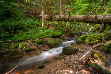 Cascade de l Andelau Cascade du Hohwald Wasserfall