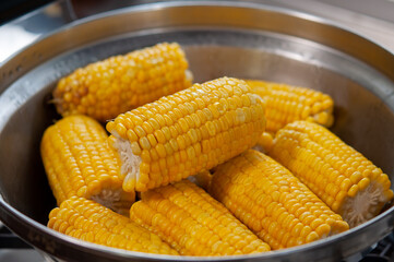 調理された鮮やかな色のトウモロコシの写真素材 スイートコーン 日本