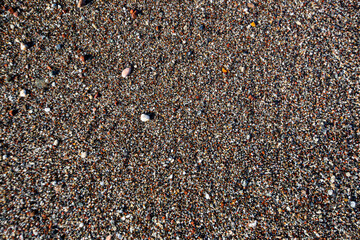 Stones on the beach in sand and water