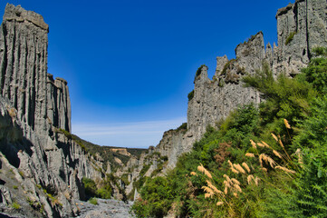 Fototapeta na wymiar Canyon through the towers of conglomerate gravel rocks of the Putangirua Pinnacles, near Cape Palliser, North Island, New Zealand. Grey, eroded rocks with green vegetation and large grasses.